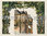 Wald - Hintergrund und 4 Durchsichten (Nr. 101, 101a, 101b, 101c, 101d) - Rekonstruktion
