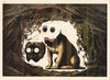 Höhle - Durchsicht mit Hund (Nr. 1008).