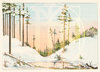 Wald im Winter - Hintergrund (Nr. 1017).