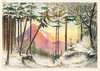 Wald im Winter - Hintergrund (Nr. 1019).