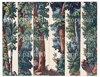 Wald (Nr. 521c)